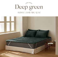 ☃ 秋冬 SOFT MINK柔軟絨毛固定帶床墊/5色