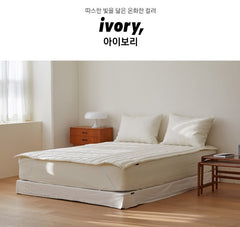 無塵固定帶床墊/11色