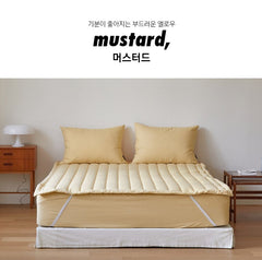 無塵固定帶床墊/11色