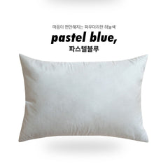 (淨色)無塵夾棉枕袋/13色