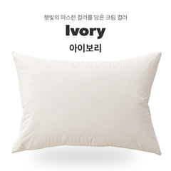 Premium防過敏夾棉枕袋(淨色)-5色