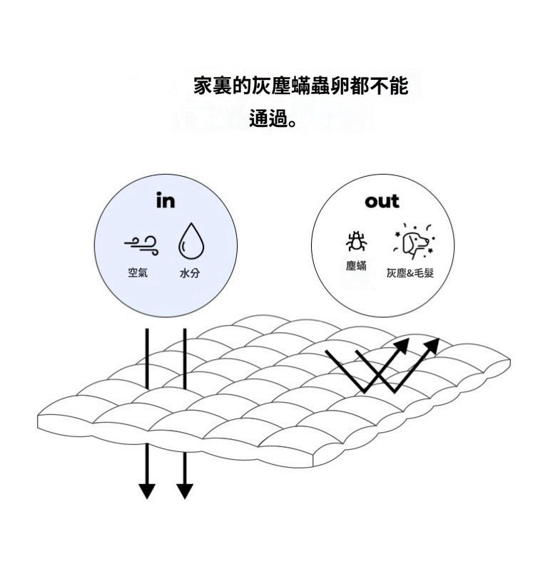 <防過敏+防塵蟎>雙面泡泡紗夏季被/Black Mary Jane